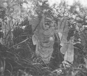 Cottingley fairies