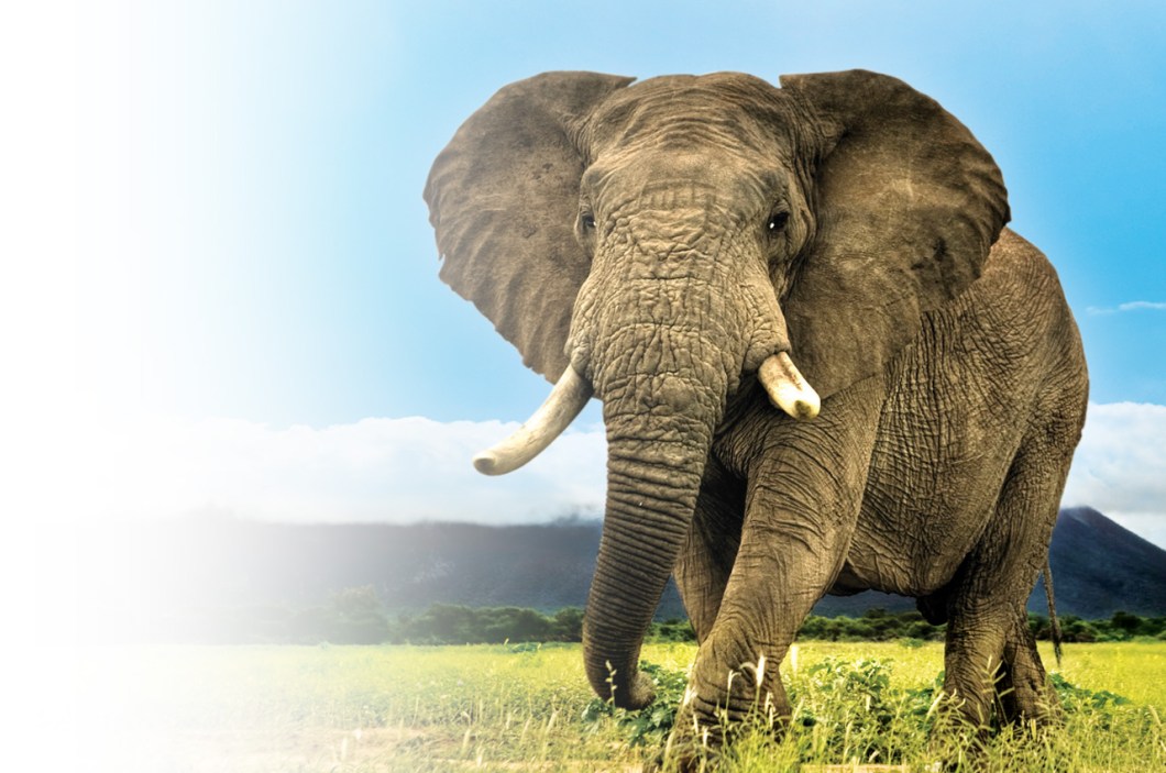 1280x850 big moments photo comp