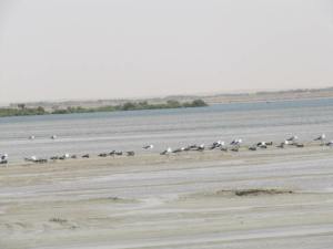 c60d9c51-4a2e-4d30-8628-f5d12ce1c138_IMG_1885