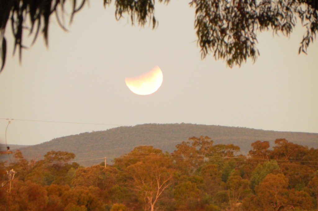 SAMSUNG DIGITAL CAMERA