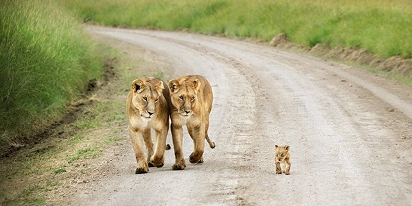 1387047338-697-2013_winners_slide8_largethumb