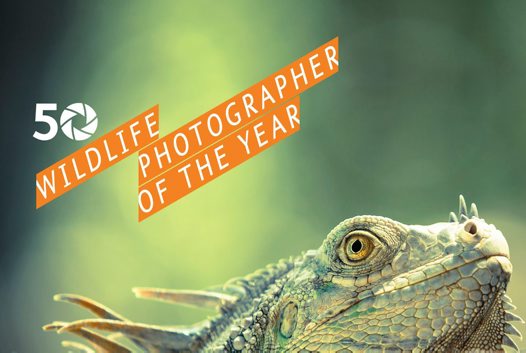 j4734_wpy1415_ameventpage_180_fa_big