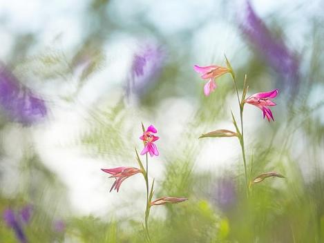 102817-7b0da7c6-eee3-11e4-a93e-1e8761188867